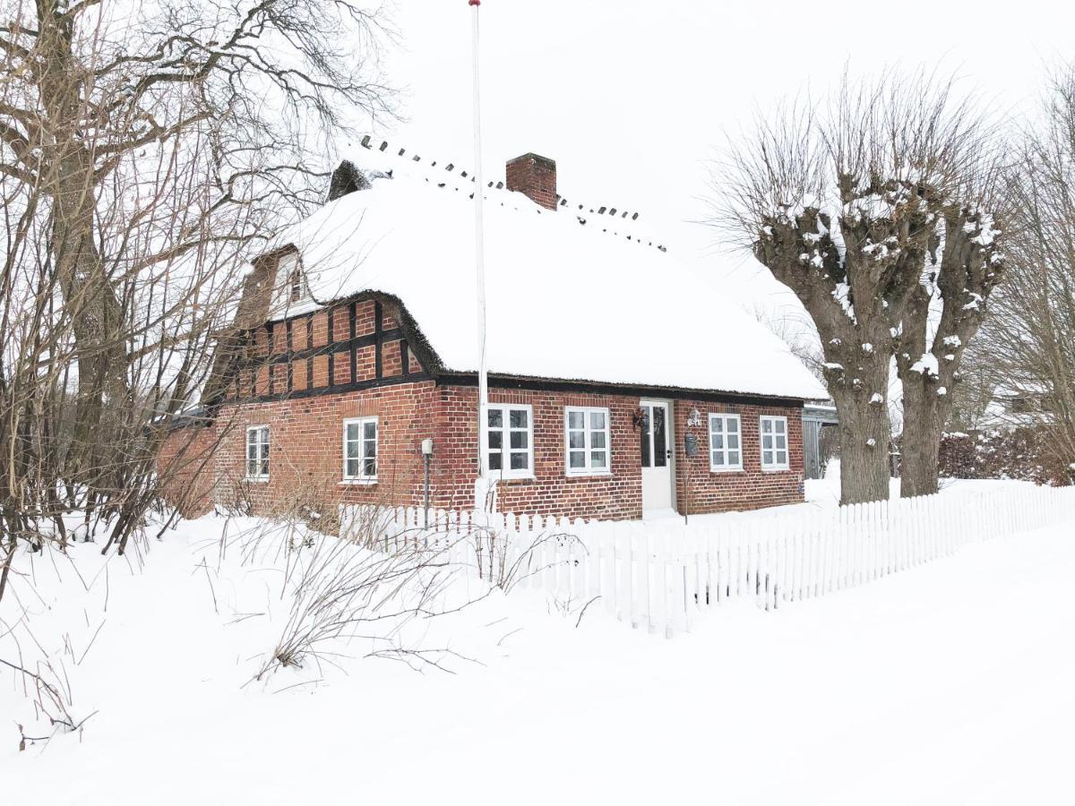 Romantisches Reetdachhaus - Frau Schroeders Mohrkirch Esterno foto
